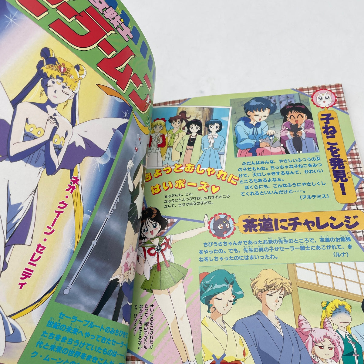 Anime Sailor Moon S Picture Book The definitive edition Naoko Takeuchi Art Book