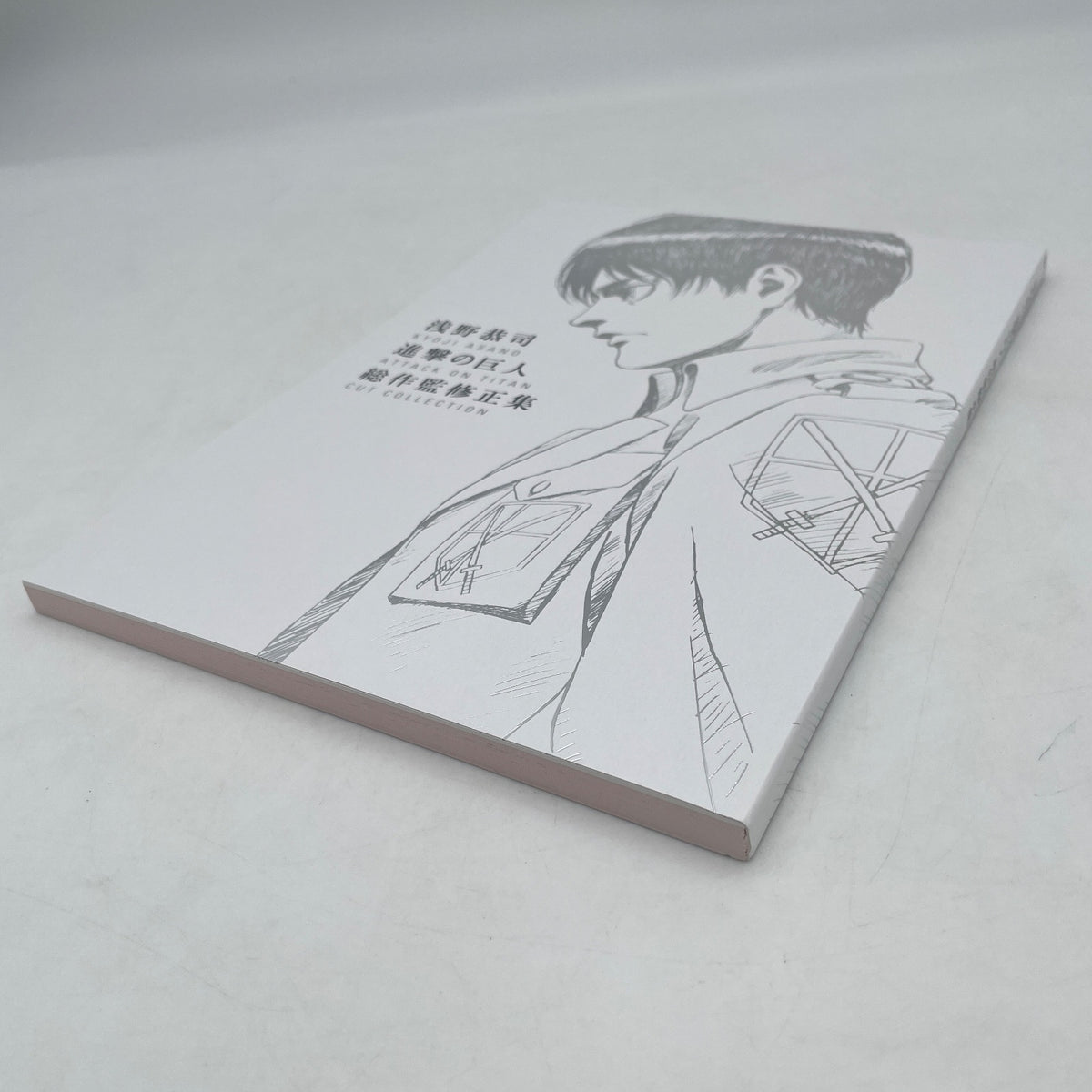 Attack on Titan Cut Collection Illustration Art Work Kyoji Asano Wit Studio