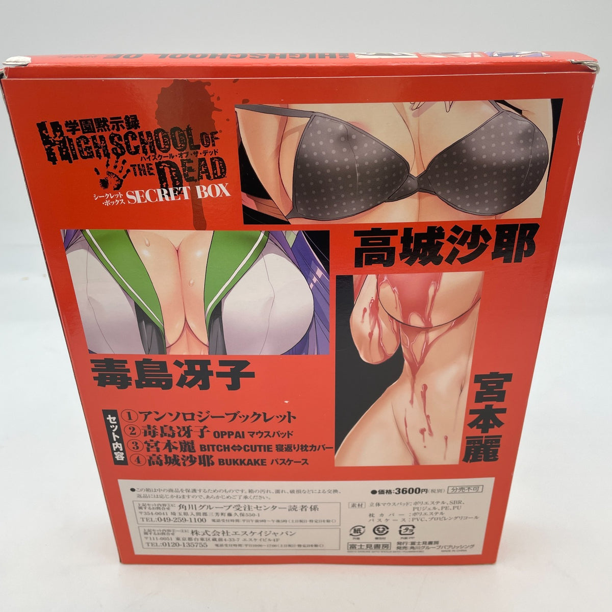 HIGHSCHOOL OF THE DEAD Secret Box Art Set Book From Japan