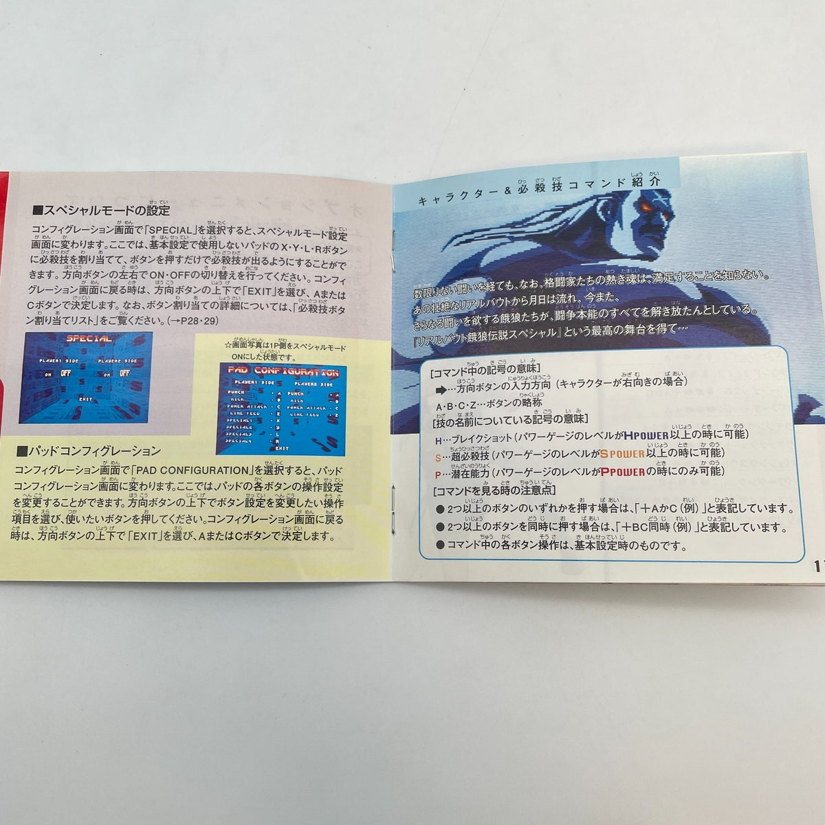 Sega Saturn REAL BOUT FATAL FURY SPECIAL Garou Densetsu SS Japan