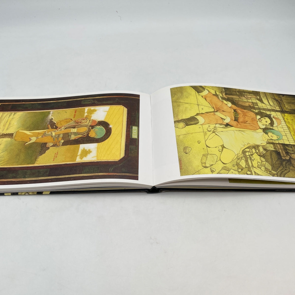 Linda Cube Cannabis Works Tanaka Tatsuyuki Art Works Illustrations Book Japan