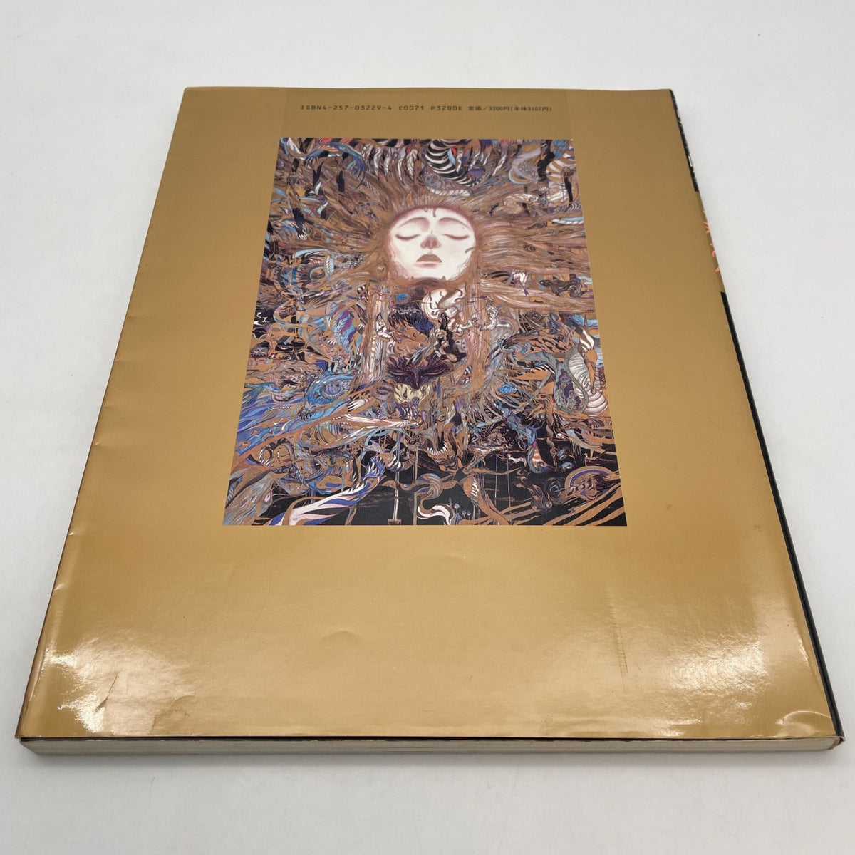 Yoshitaka Amano Art Book Hiten Artwrok Japanese Asahi Sonorama