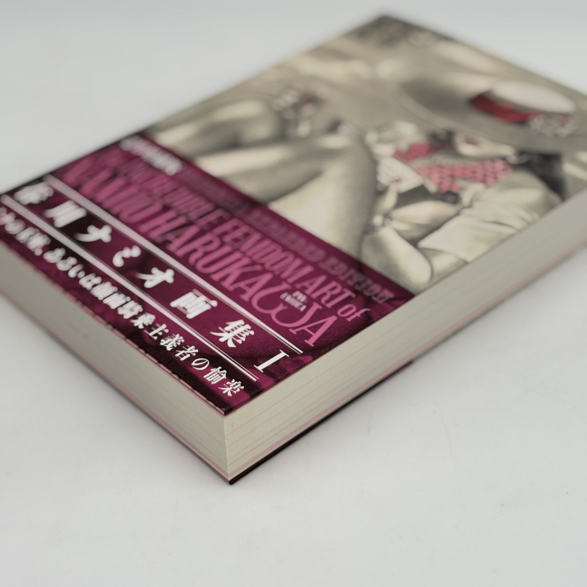 MEMORIAL EXPANDED EDITION The INCREDIBLE FEMDOM ART of NAMIO HARUKAWA Artbook I