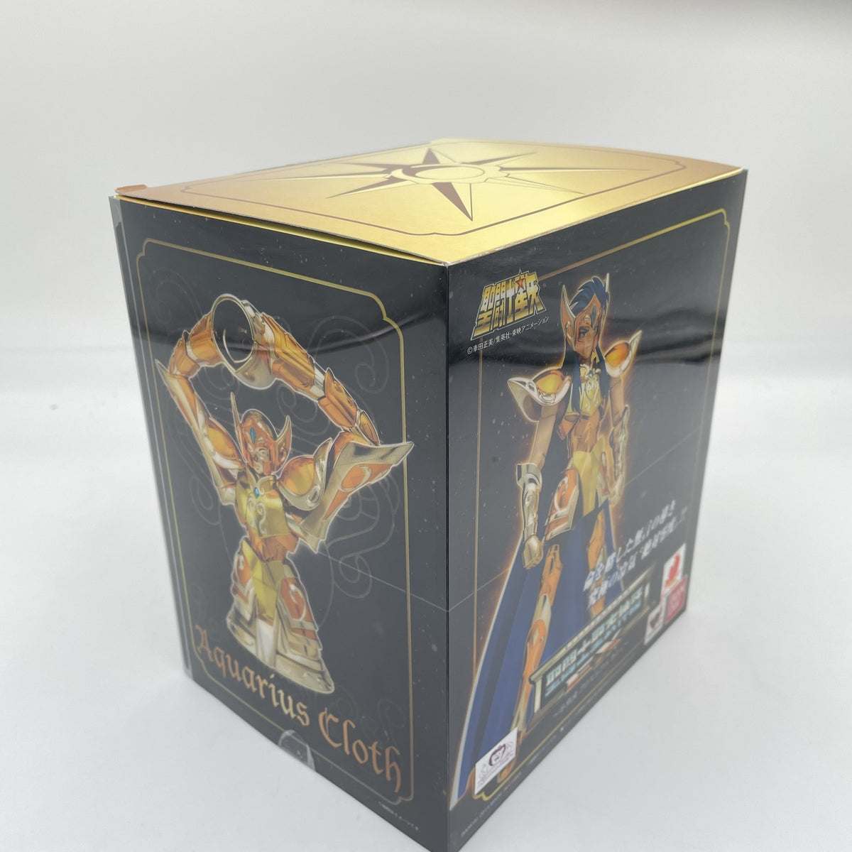 Aquarius Camus Figure Saint Seiya Saint Cloth Myth EX Bandai