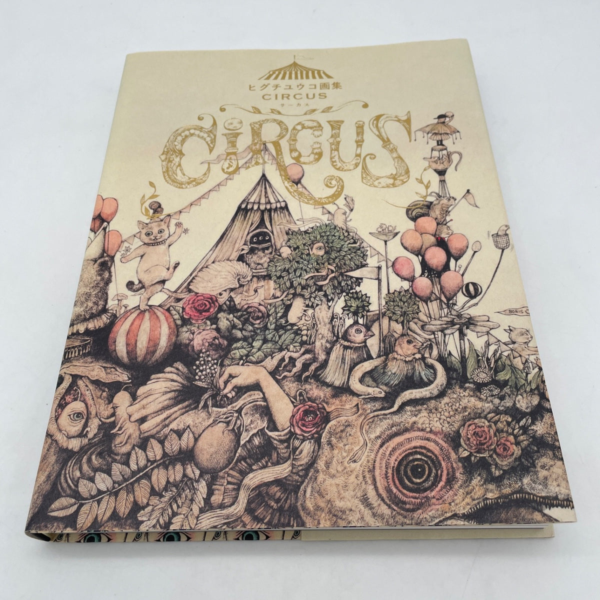 Yuko Higuchi 2019 Art Works Book CIRCUS Illustration Collection Japanese Book