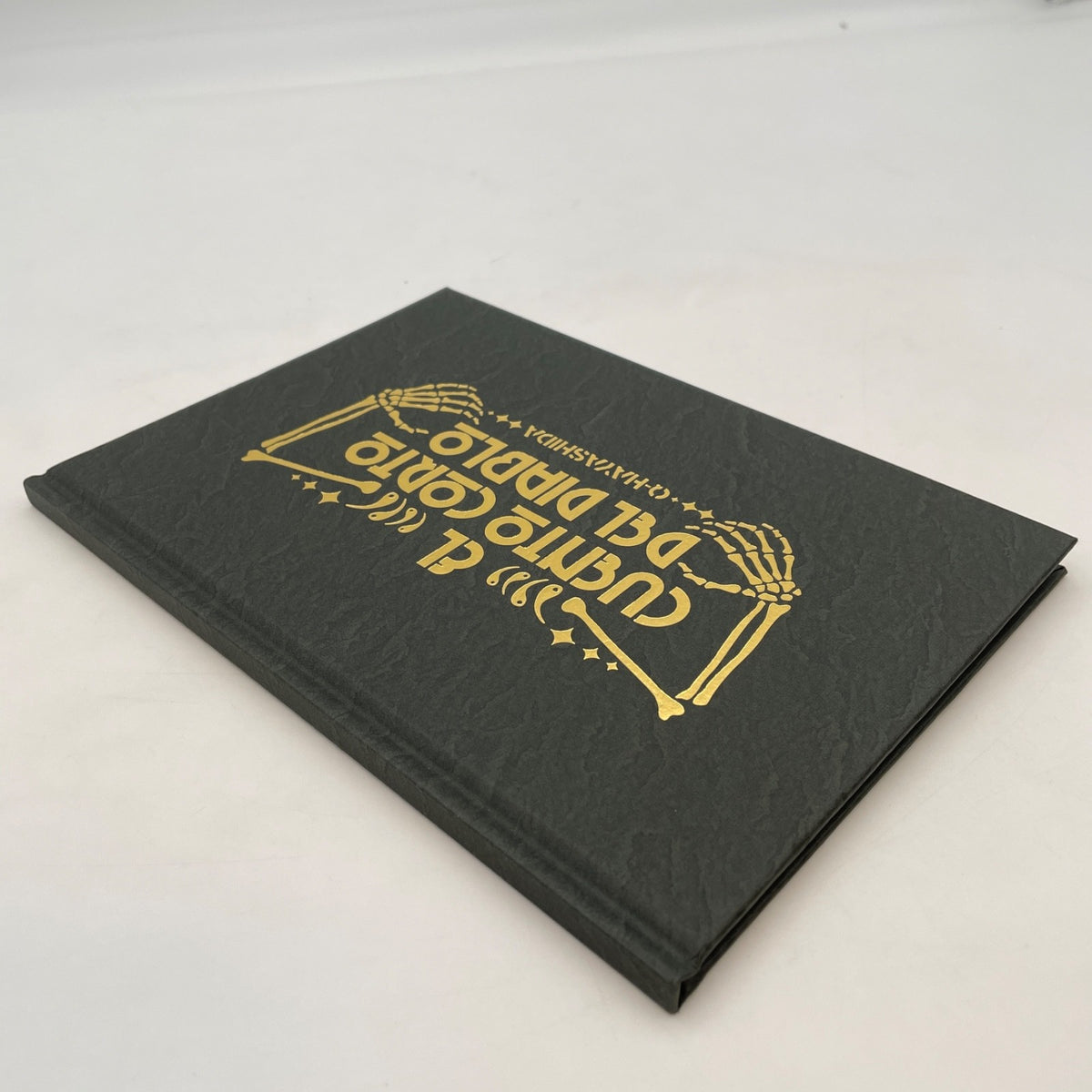 Dorohedoro Volume 16 Special edition Devil's Scripture Manga Book