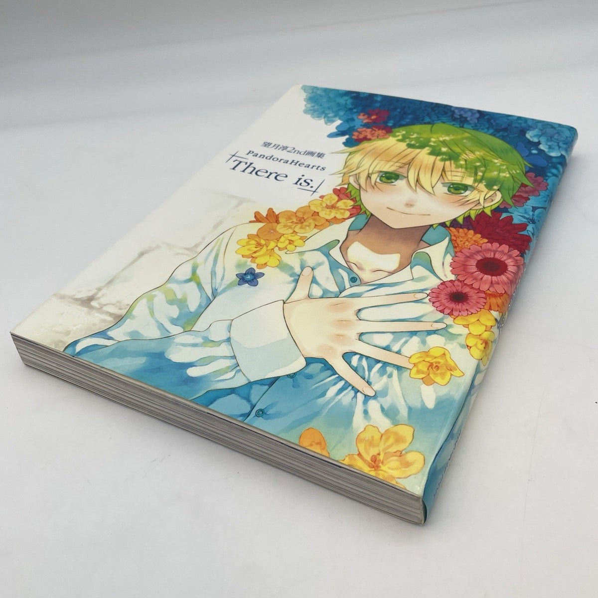 Pandora Hearts: There is. Jun Mochizuki 2nd Art Book Square Enix Japan