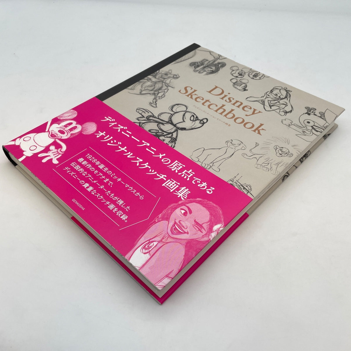 Disney Sketchbook: Disney Animation Original Sketches Art Book Japan Import