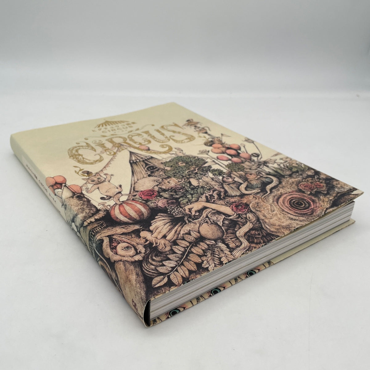 Yuko Higuchi 2019 Art Works Book CIRCUS Illustration Collection Japanese Book