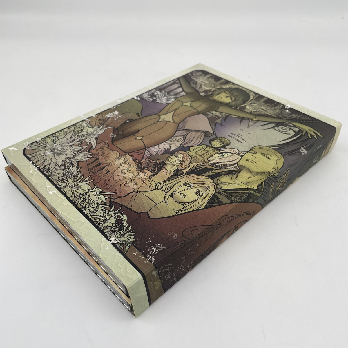 Wolfs Rain DVD Box First Press booklet Limited Edition Japan