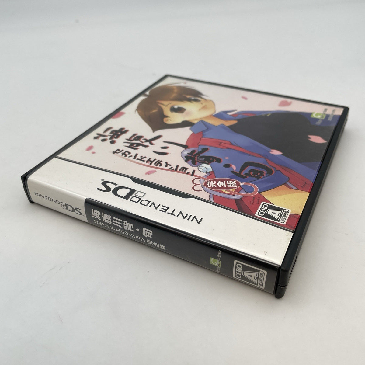 Nintendo DS Umihara Kawase Jun Second Edition kanzenban Japan Import