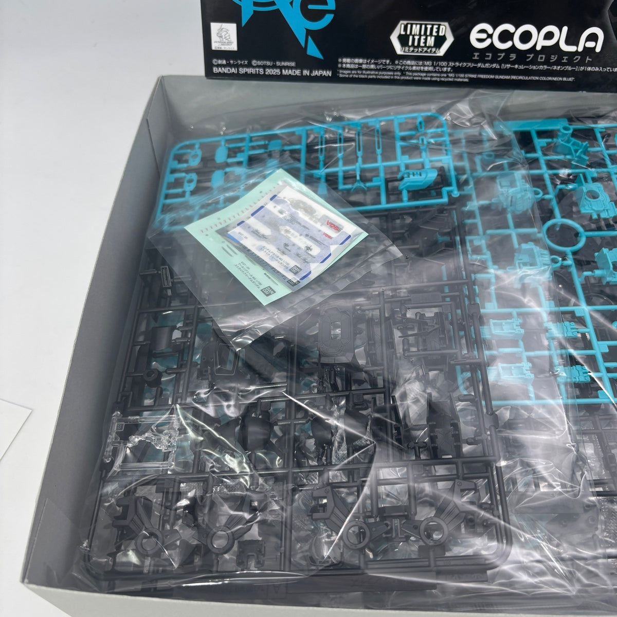 Bandai MG 1/100 Strike Freedom Gundam Recirculation Neon Blue ECOPLA Limited
