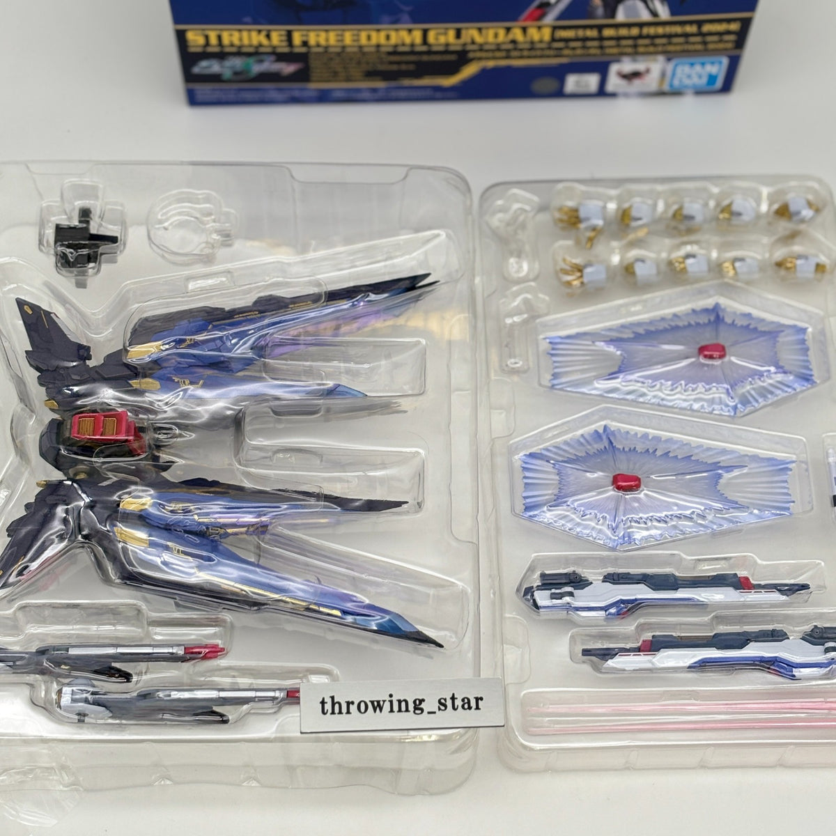 METAL BUILD Strike Freedom Gundam Figure METAL BUILD FESTIVAL 2024 BANDAI