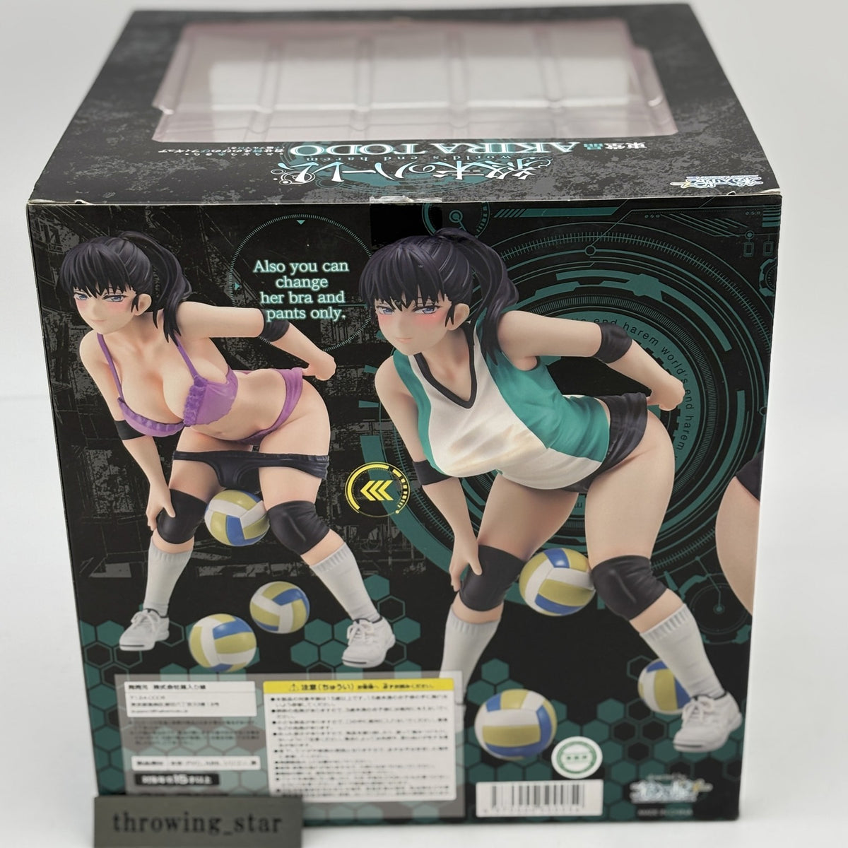 World's end harem Akira Todo 1/6 Figure Hakoirimusume