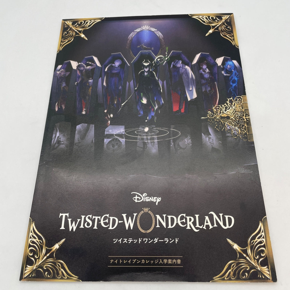 Twisted Wonderland Night Raven College Villains Booklet Comic Anthology DISNEY