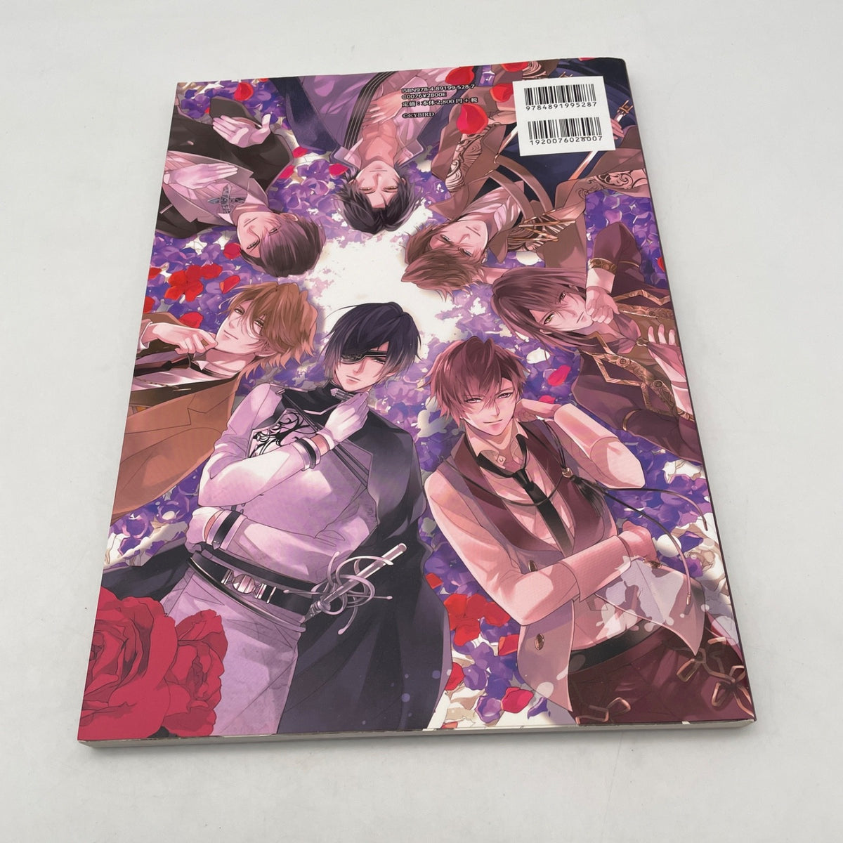 Ikemen series Vampire Ijin Tachi to Koi no Yuwaku Art Book Japanese