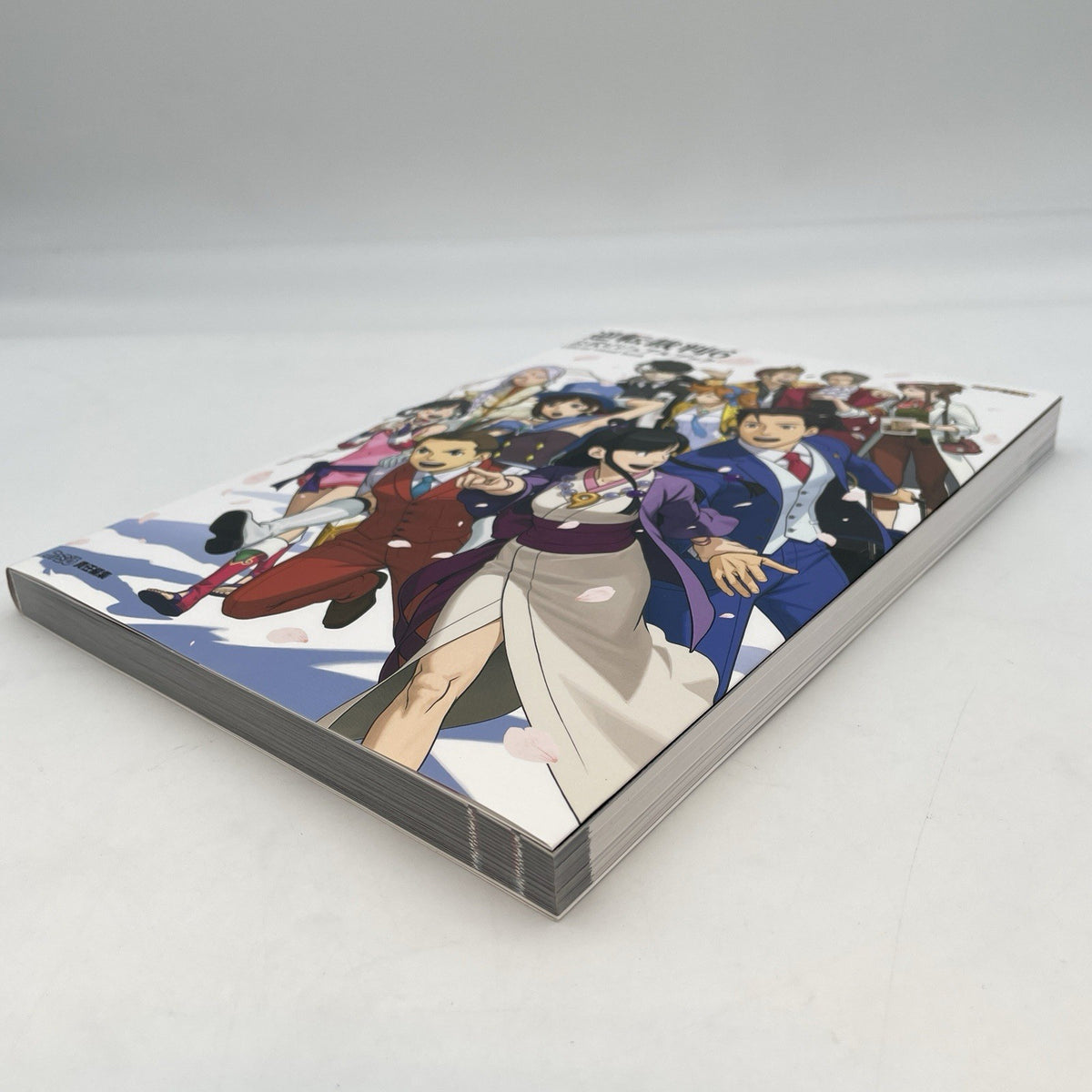 Gyakuten Saiban / Ace Attorney 6 Official Visual Book Japan Game Art Book