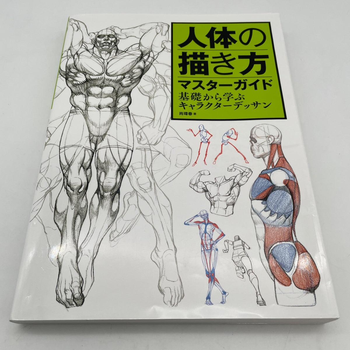 Master Guide to Drawing the Human Body Character Drawing from the Basics Book