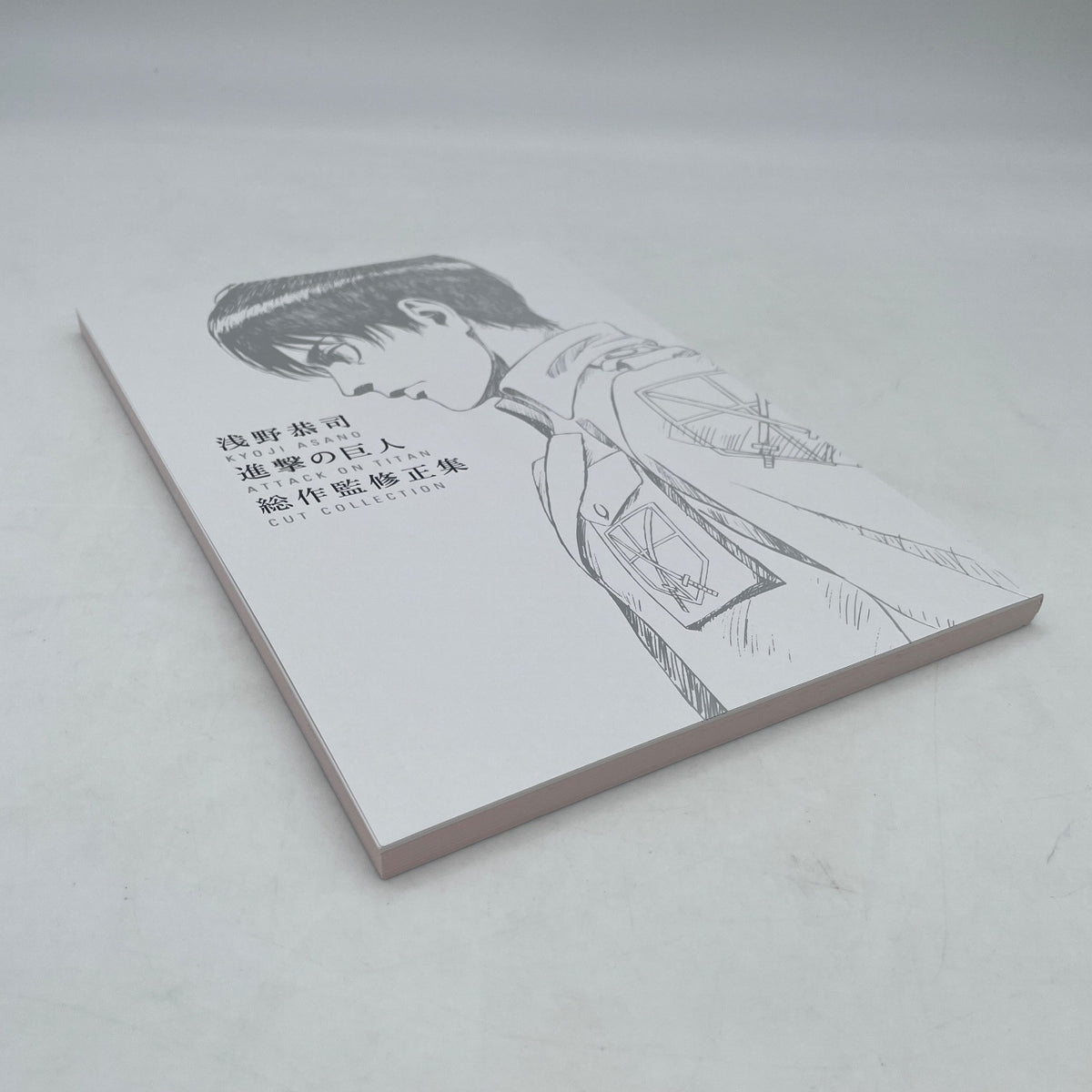 Attack on Titan Cut Collection Illustration Art Work Kyoji Asano Wit Studio