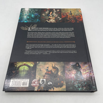 THE ART OF Alice Madness Returns Art Book English Edition Illustrations