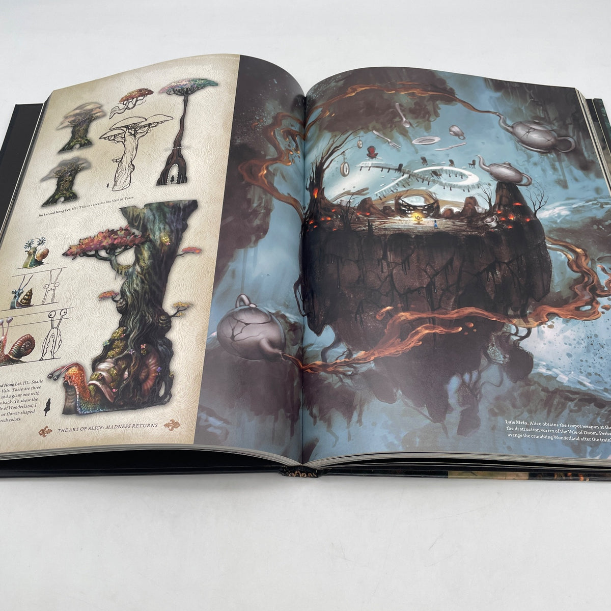 THE ART OF Alice Madness Returns Art Book English Edition Illustrations