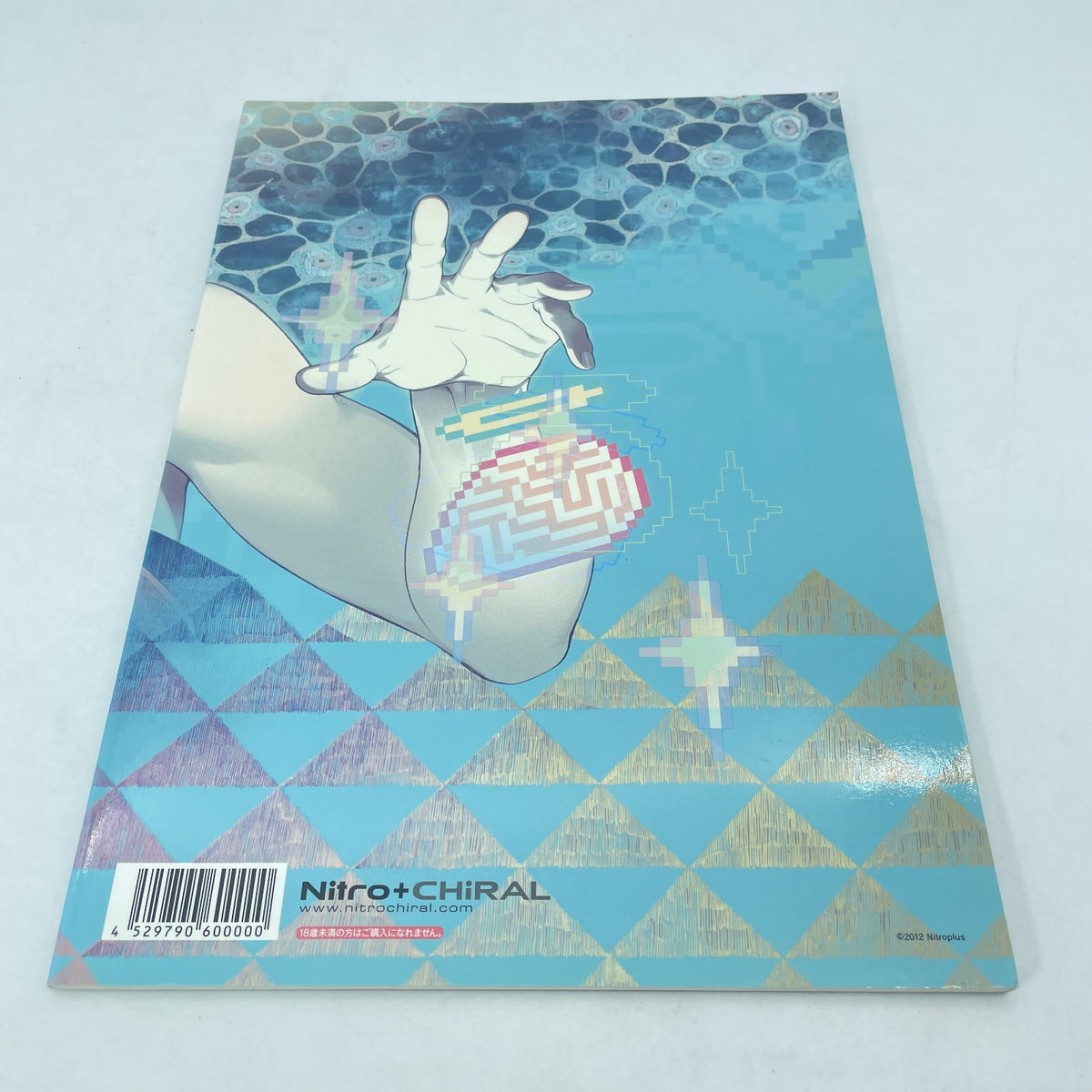Dramatical Murder Nitro CHiRAL Official Works Art Book Illustrations Japan