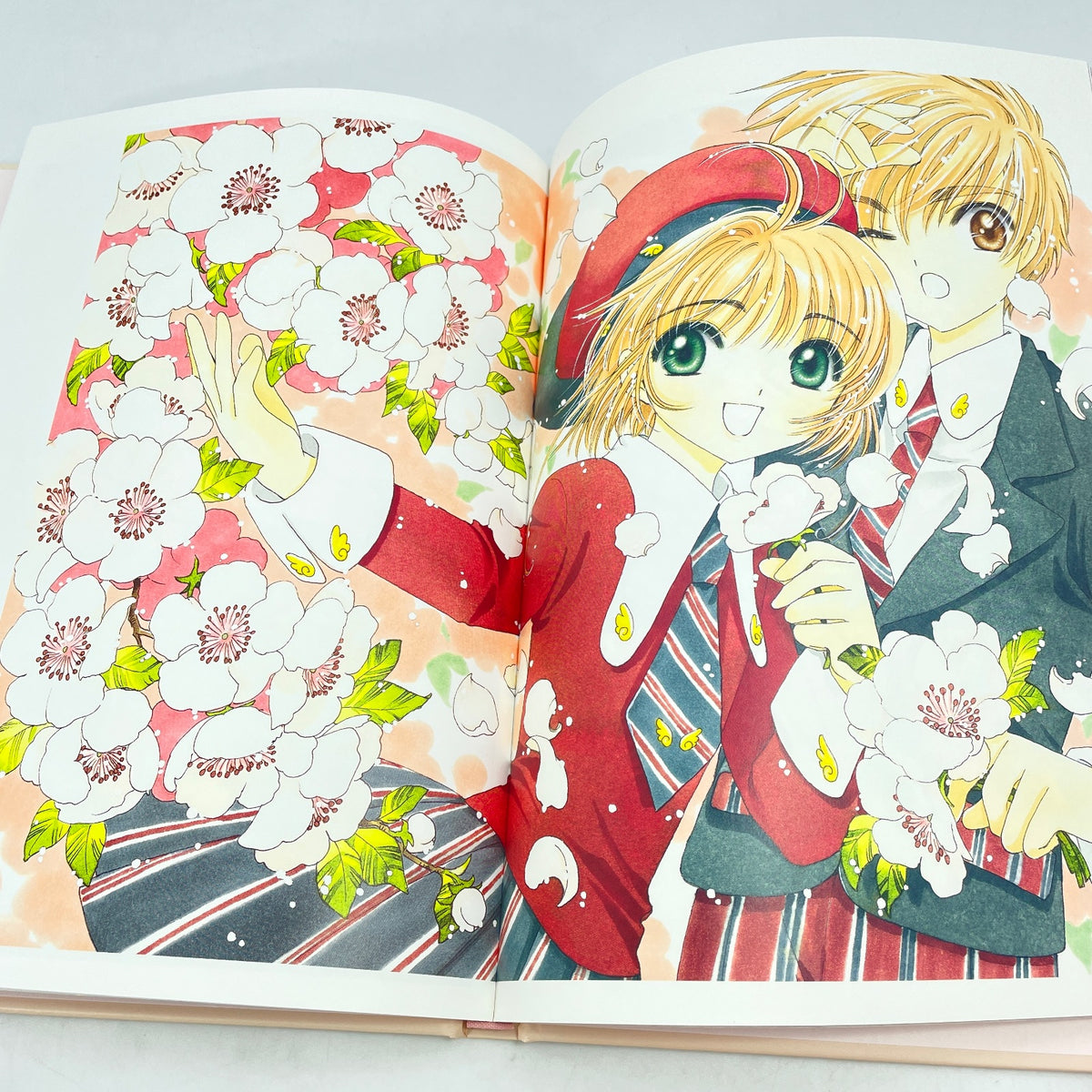 Cardcaptor Sakura Art Book art works Illustrations 20th Anniversary japan