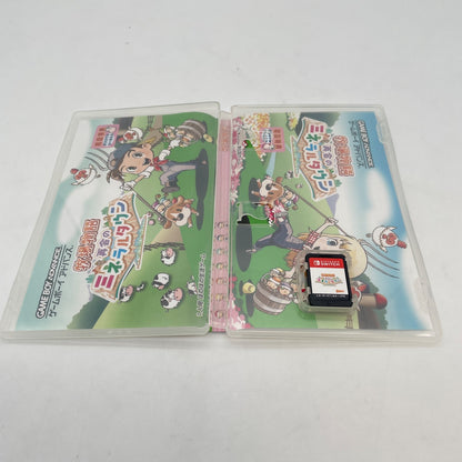 Nintendo Switch HARVEST MOON Friends of Mineral Town Marvelous Japan Import