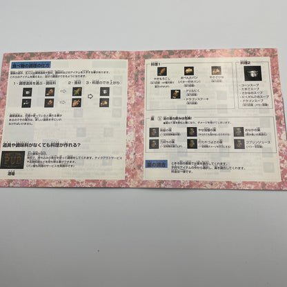 Sega Saturn Princess Crown ATLUS 1997 video game SS Japan
