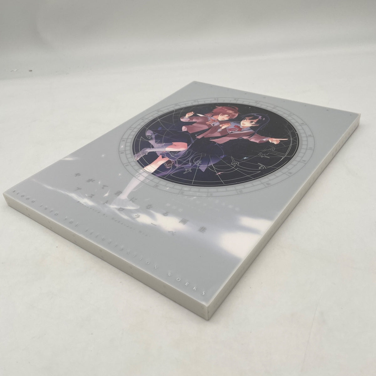 Yagate Kimi ni Naru Bloom Into You Art Book illustration Astrolabe Japan