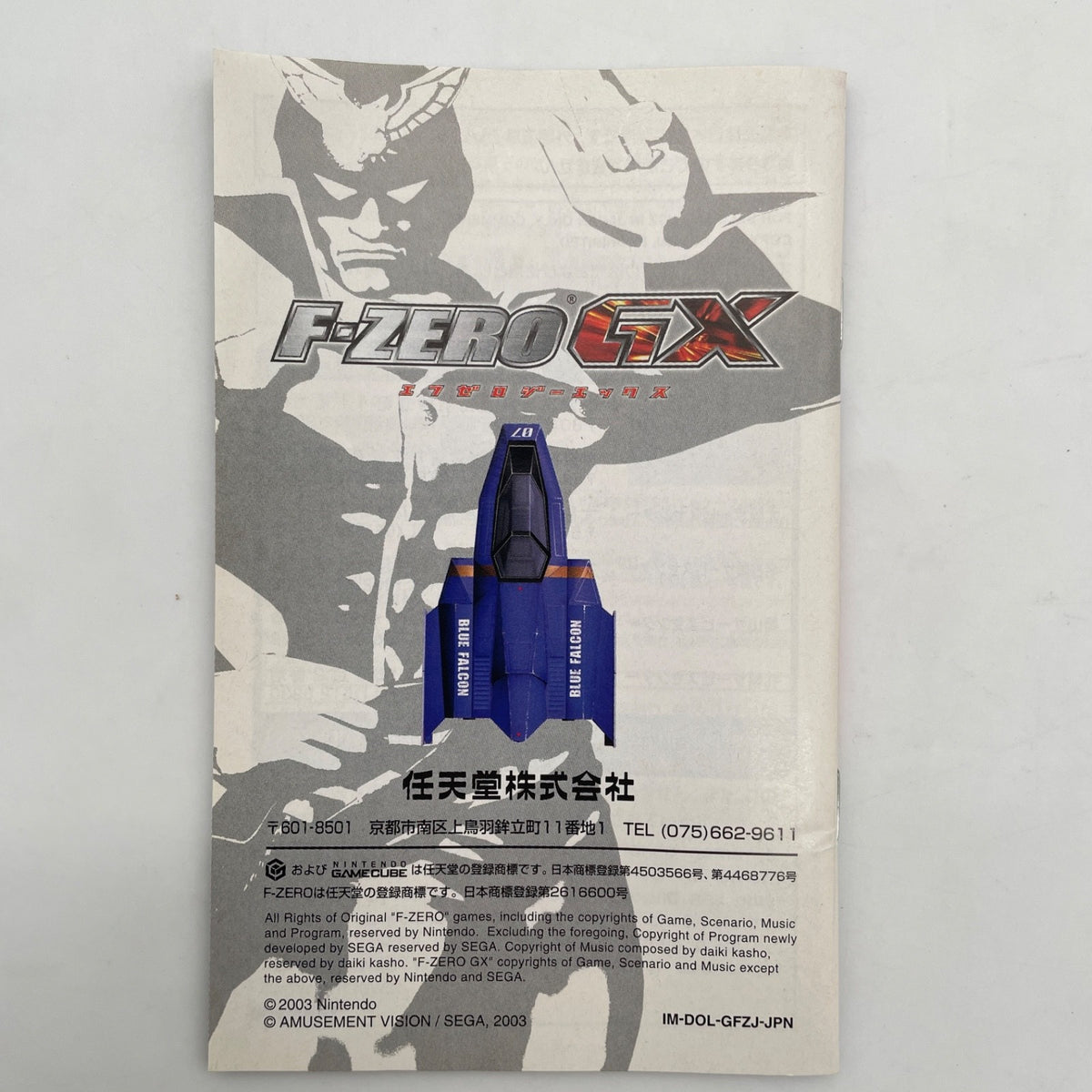 Nintendo Gamecube F-Zero GX w/ Cartridge, Case, Manual Japan Import