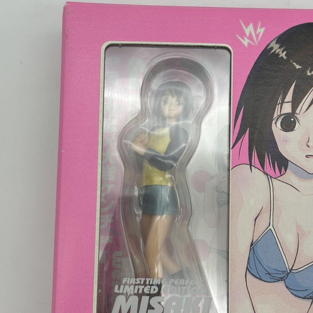 WELCOME TO THE NHK ni Youkoso! MISAKI Nakahara Action Figure first Limit edition