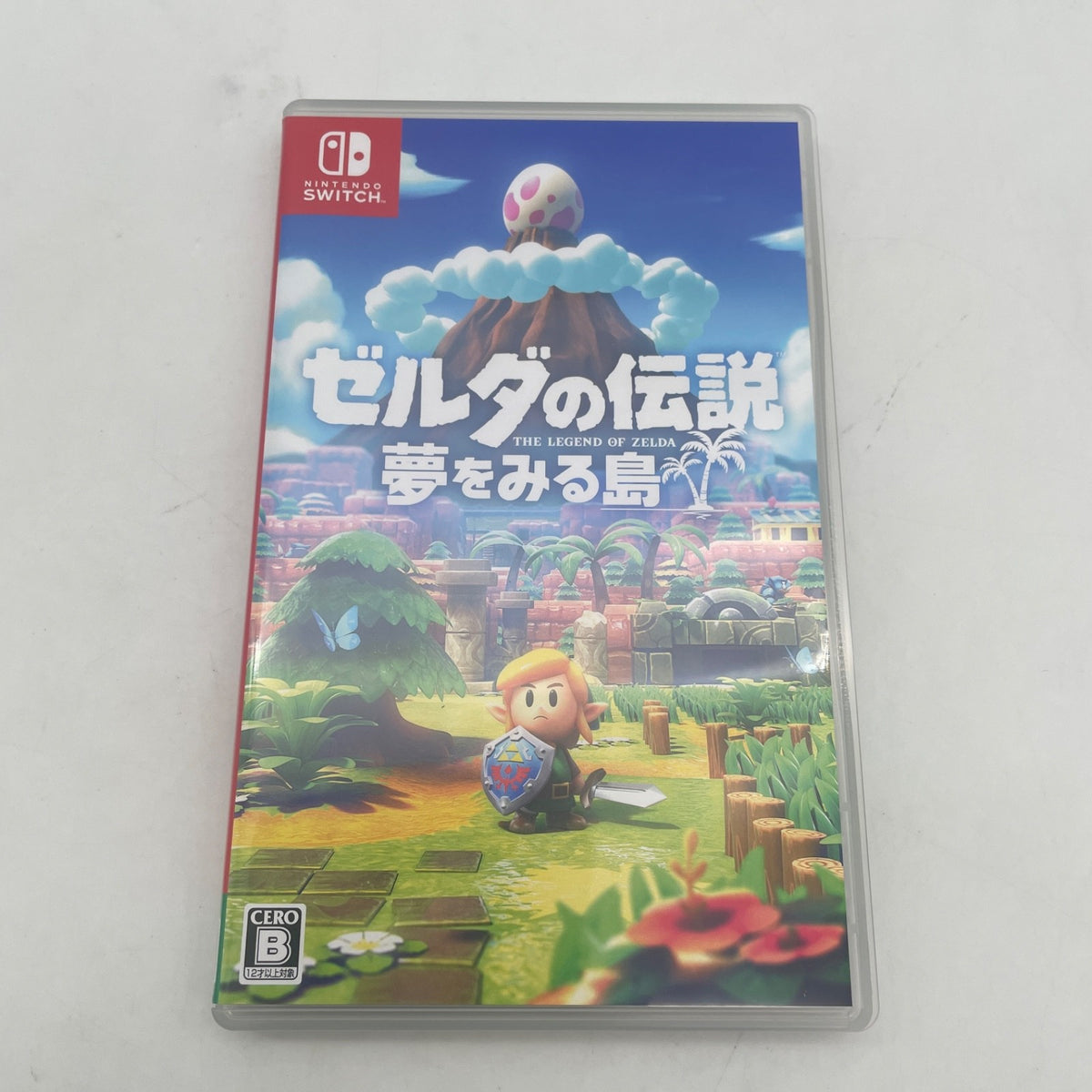 Nintendo Switch The Legend of Zelda A Dreaming Island Artbook Set Japan