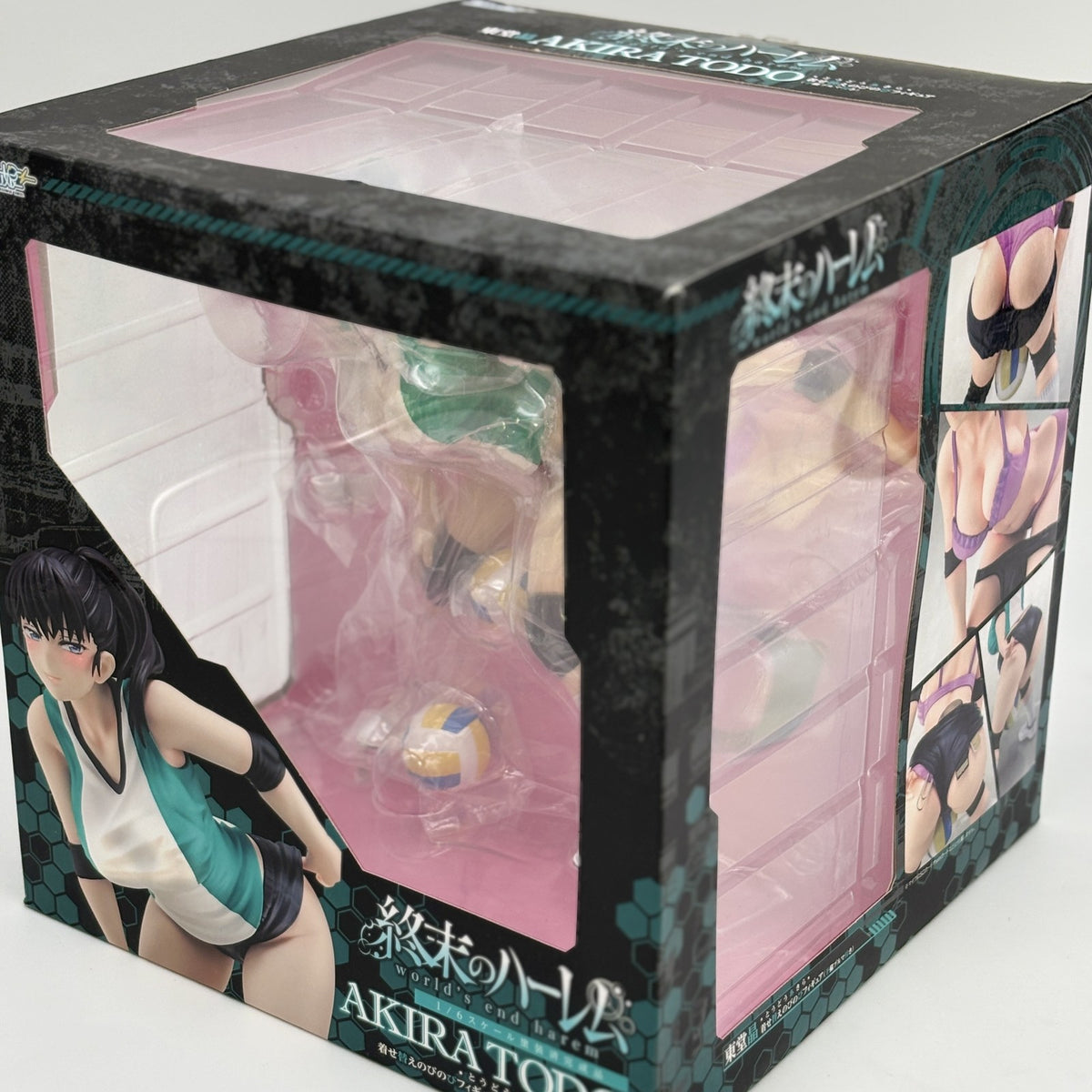 World's end harem Akira Todo 1/6 Figure Hakoirimusume