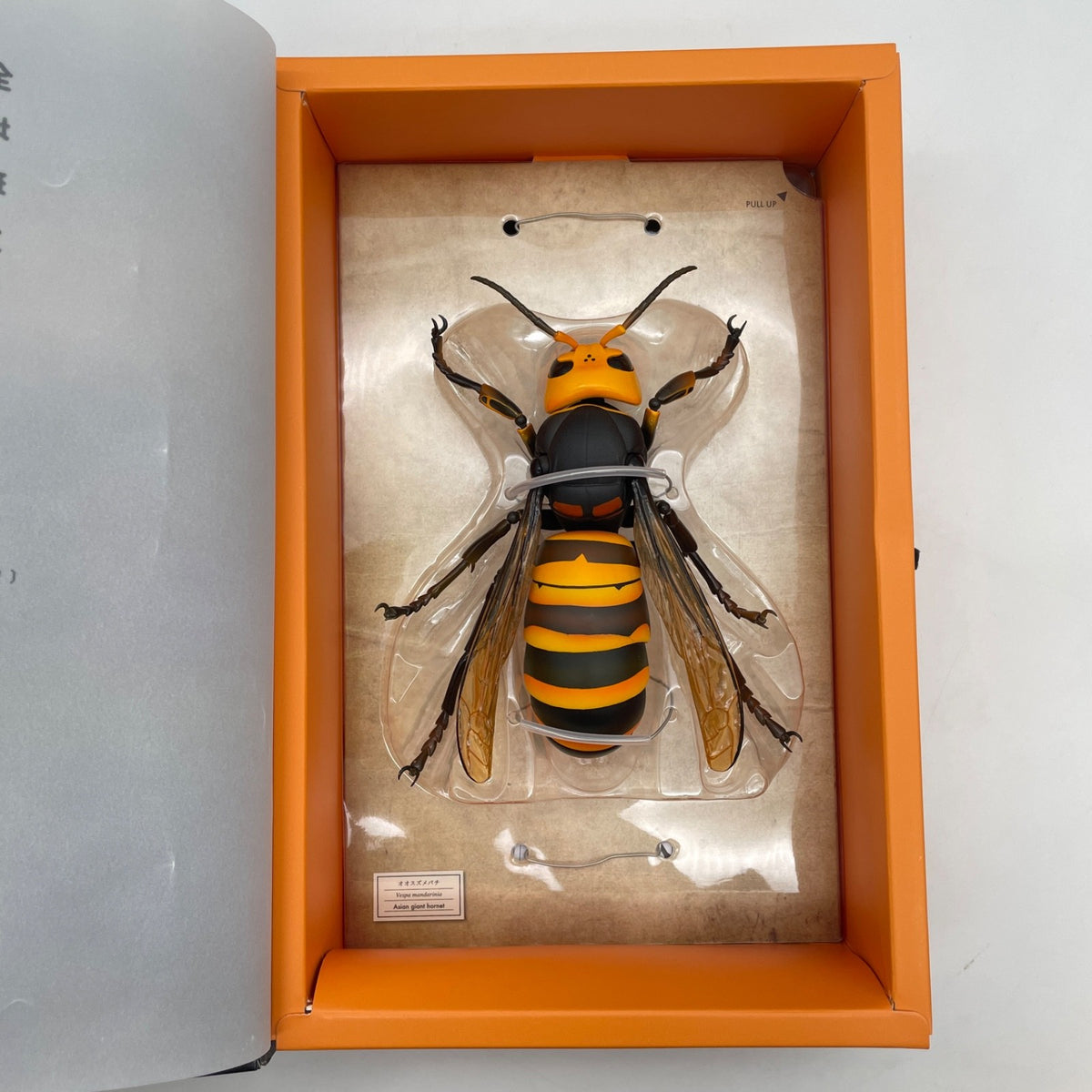 KAIYODO REVOGEO Asian Giant Hornet Figure RG004 Produce by Shinobu Matsumoto