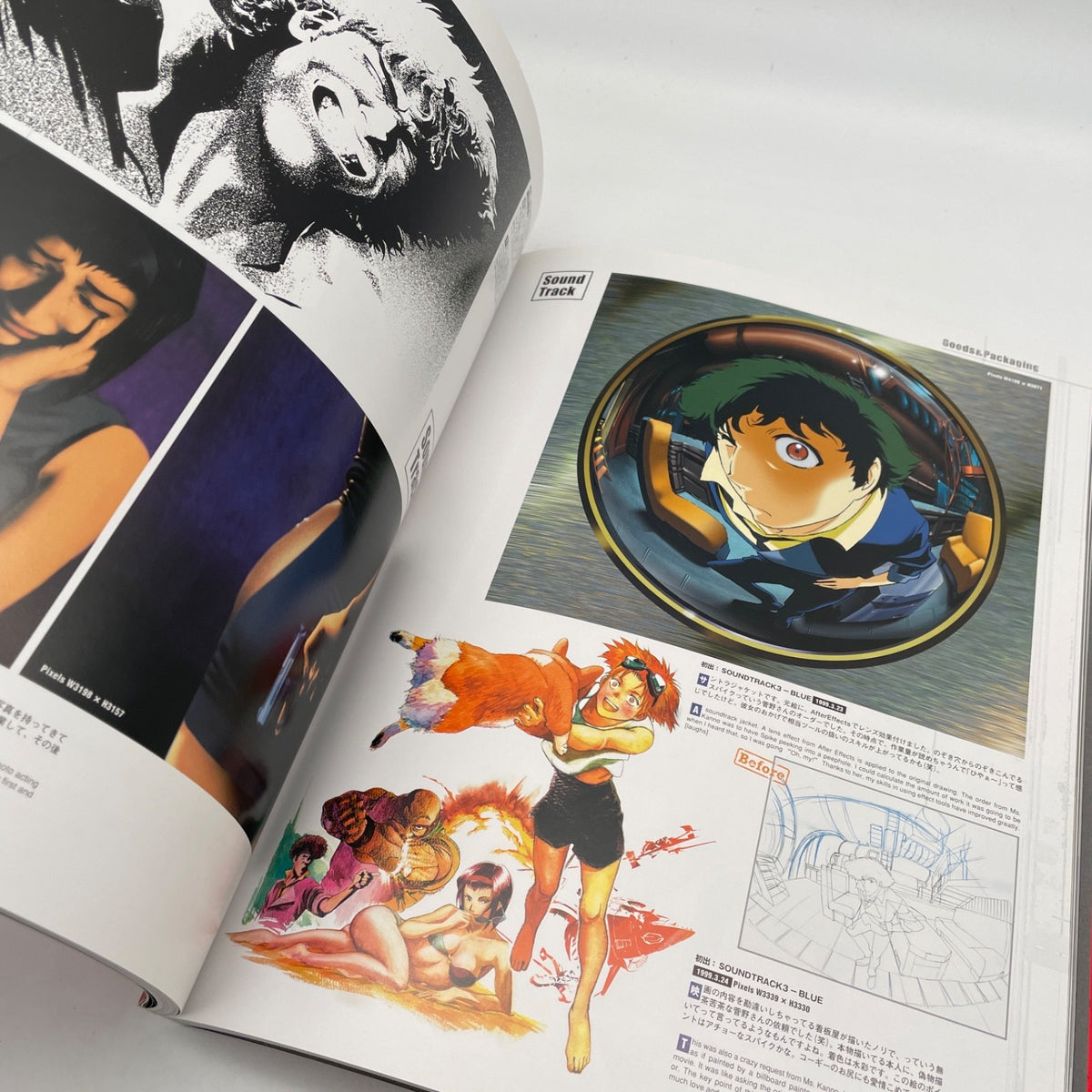 COWBOY BEBOP Art Illustration Book THE WIND TOSHIHIRO KAWAMOTO Art Book