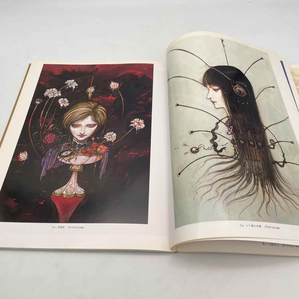 Yoshitaka Amano Art Book Hiten Artwrok Japanese Asahi Sonorama