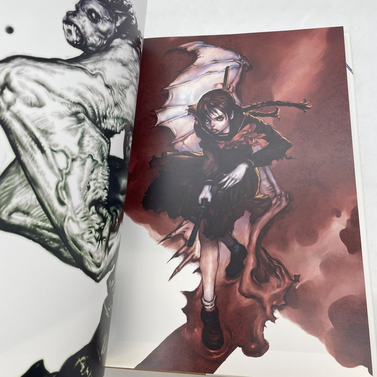 Katsuya Terada Illustration Collection DRAGON GIRL AND MONKEY KING Art Book