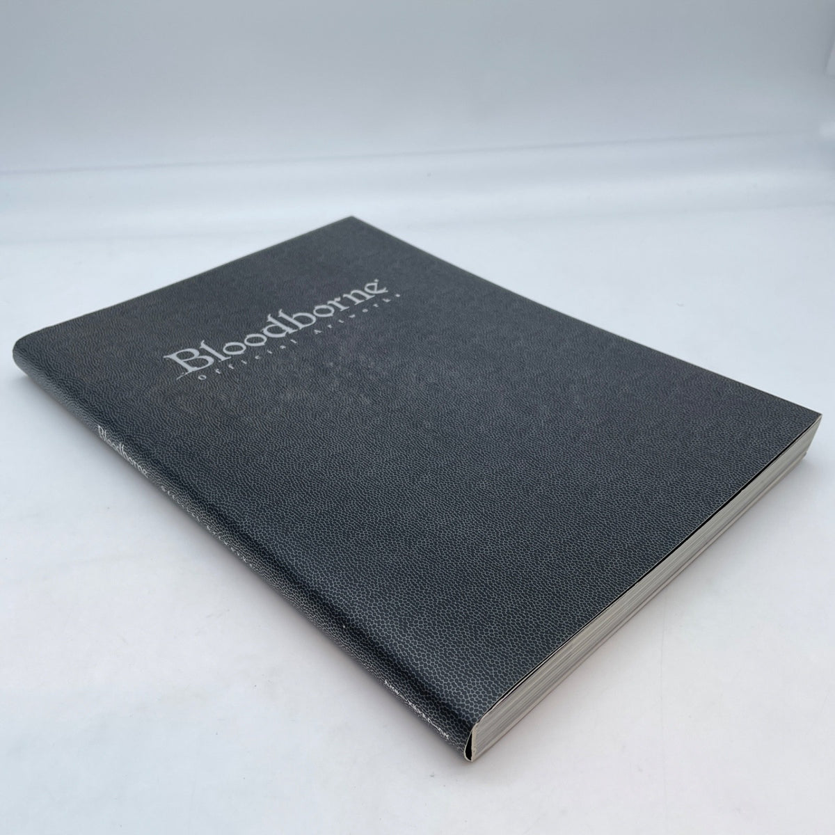 Bloodborne Official Artworks PlayStation 4 PS4 ASCII Media Works / KADOKAWA