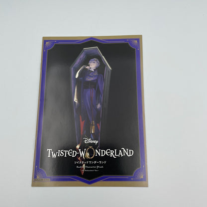 Disney Twisted Wonderland Vil Schoenheit Ver Book Plush Doll Japan