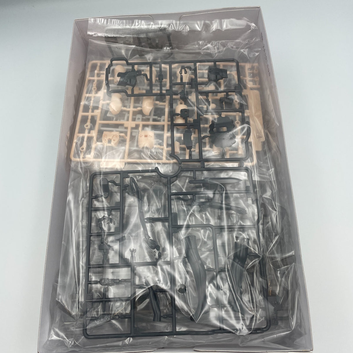 Frame Arms Girl Gourai Type 10 Ver. with LittleArmory Plastic Model Kit