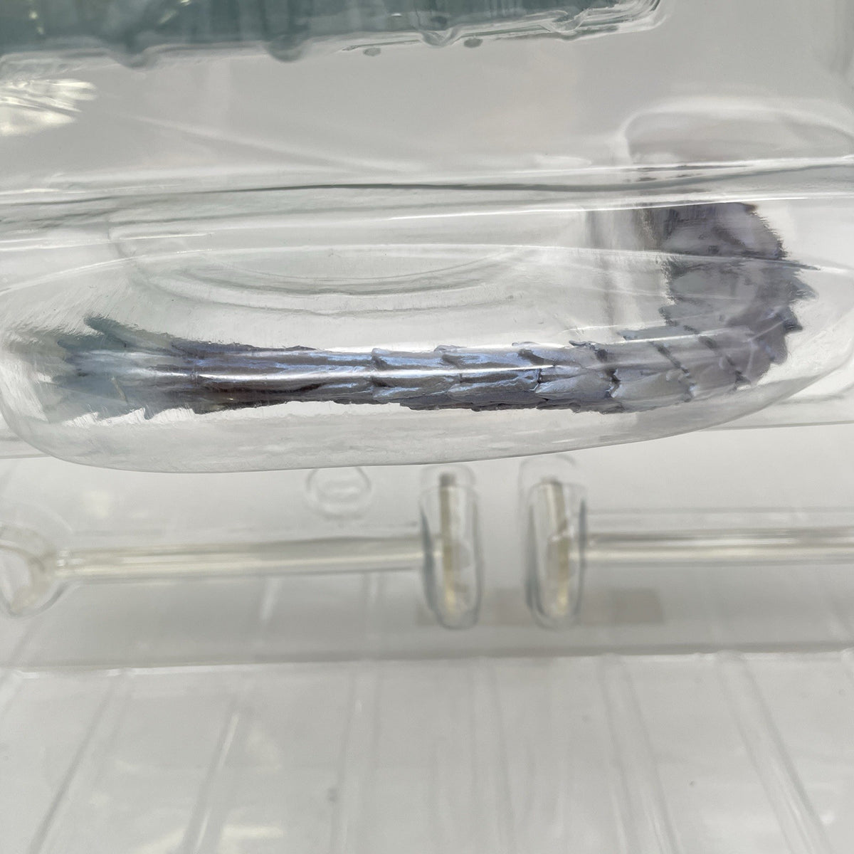 Banpresto Velkhana Monster Hunter World Iceborne Trophy Ichiban Kuji A Prize