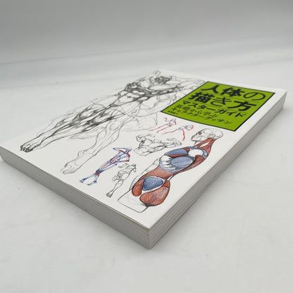 Master Guide to Drawing the Human Body Character Drawing from the Basics Book