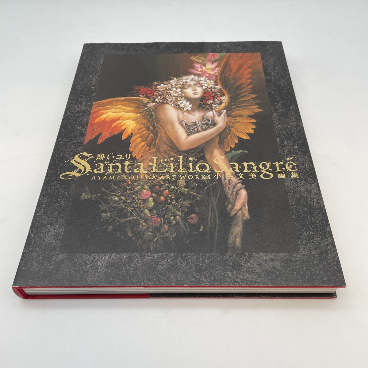 Kojima Ayami Akai Yuri Art Book Santa Lilio Sangre First Edition 2010