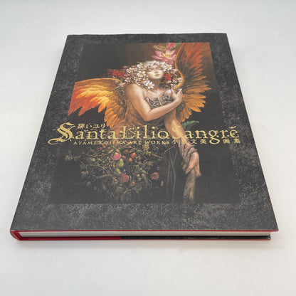 Kojima Ayami Akai Yuri Art Book Santa Lilio Sangre First Edition 2010