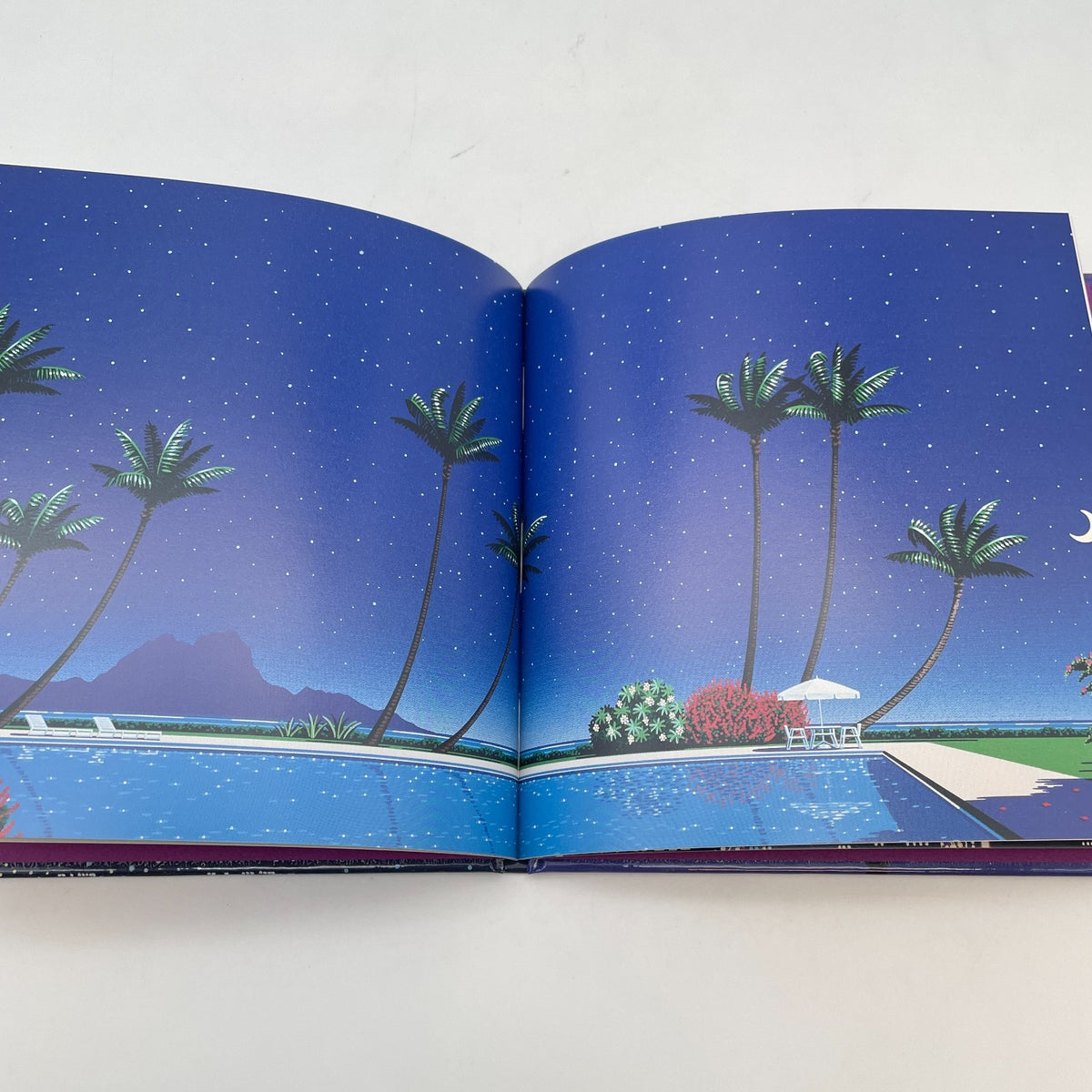 NITEFLYTE Hiroshi Nagai Art Works Book Illustration