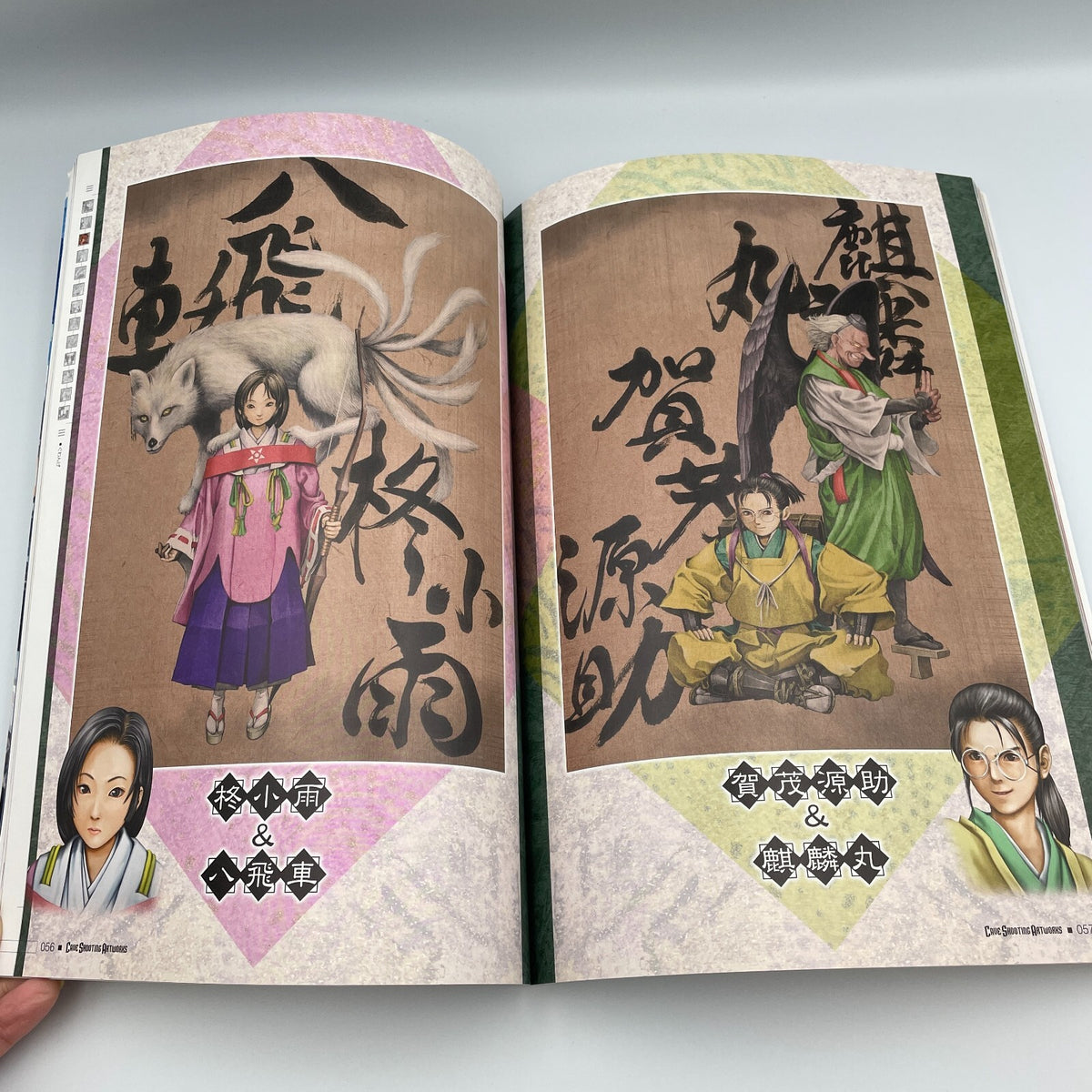 CAVE SHOOTING ART WORKS Illustration Book Ketsui Espgaluda Muchimuchi Pork etc.
