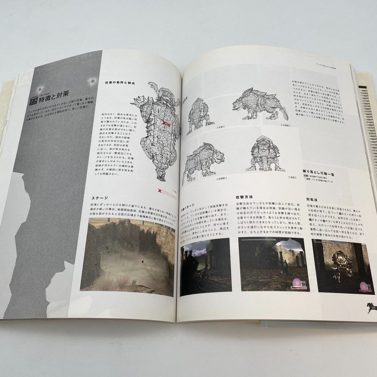 Wanda to Kyozo Shadow of the Colossus Set Info & Art Book game book Japanese