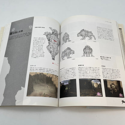 Wanda to Kyozo Shadow of the Colossus Set Info & Art Book game book Japanese