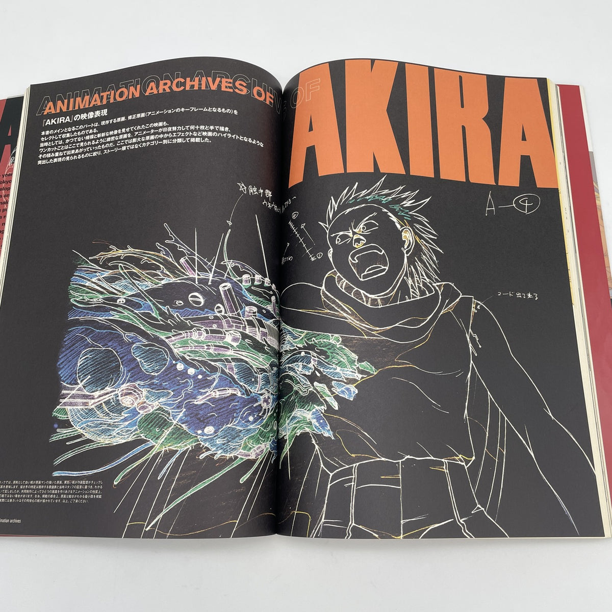 AKIRA ANIMATION ARCHIVES Art Storyboard illustration Book Katsuhiro Otomo Japan
